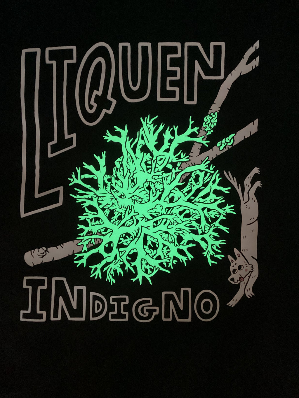 Polera - Liquen  🌿