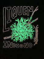 Polera - Liquen  🌿