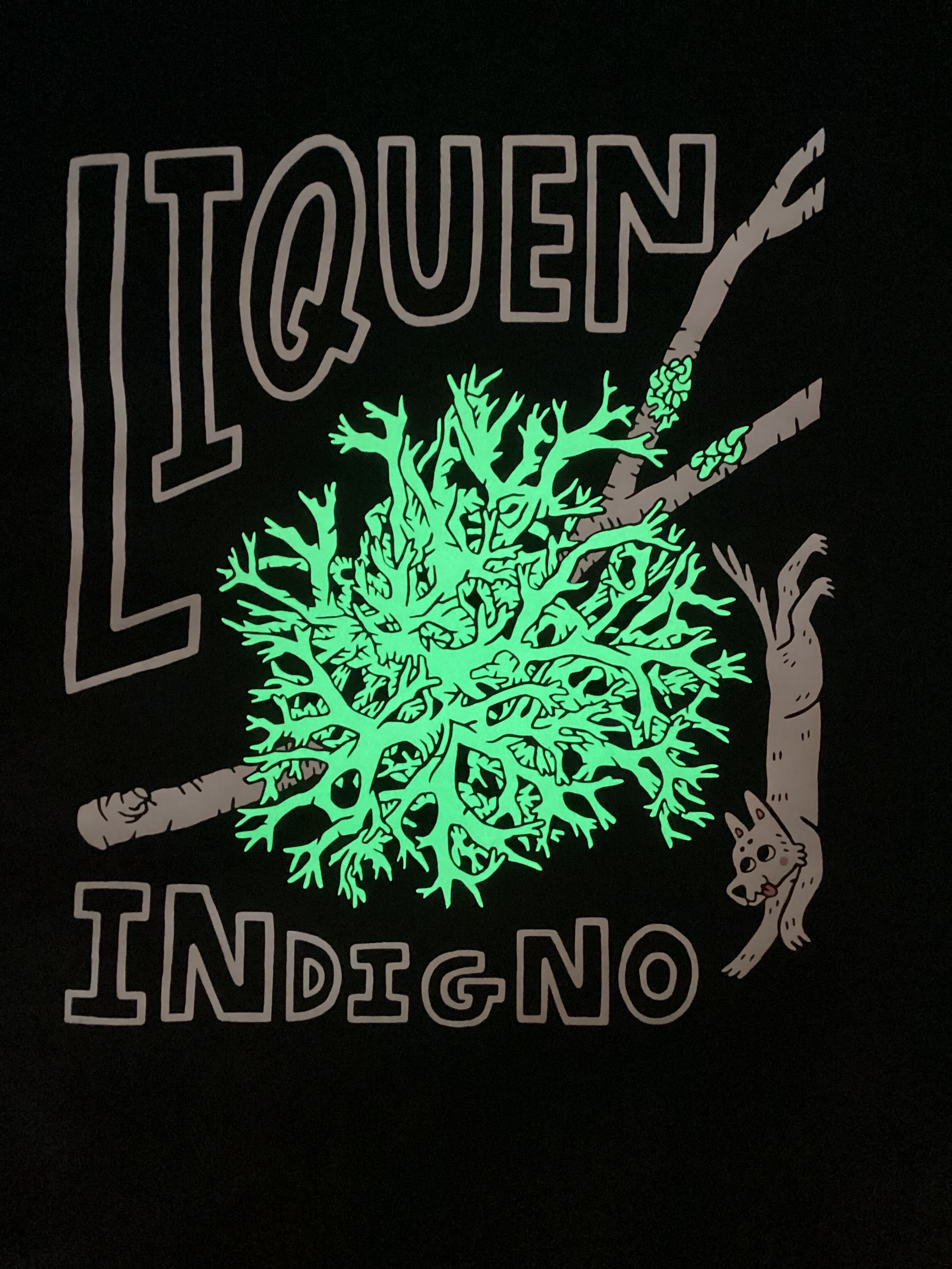 Polera - Liquen  🌿