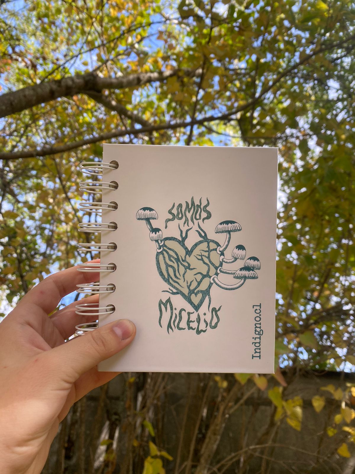 Croquera tapa dura:  Somos Micelio.