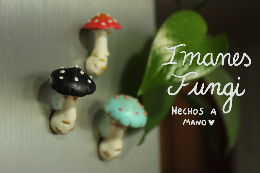 Imanes Fungi 🍄