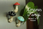 Imanes Fungi 🍄
