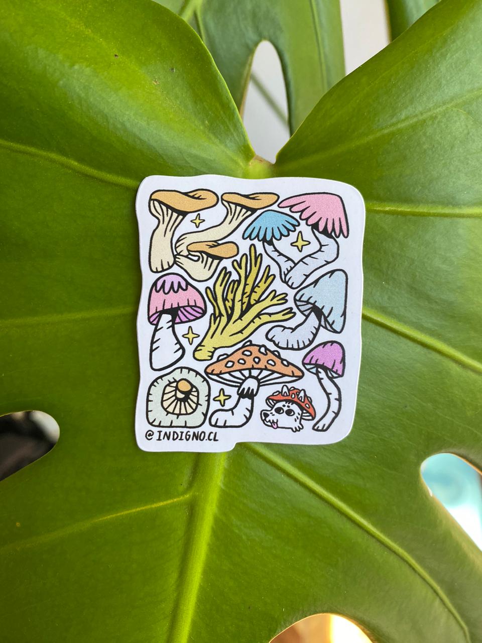 Stickers - Impermeables 🌱