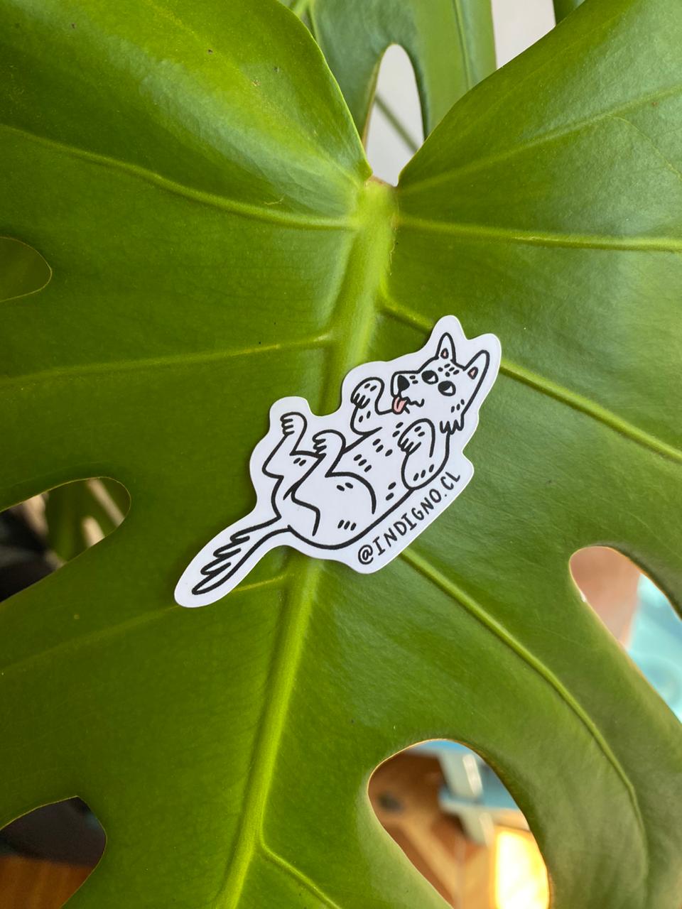 Stickers - Impermeables 🌱