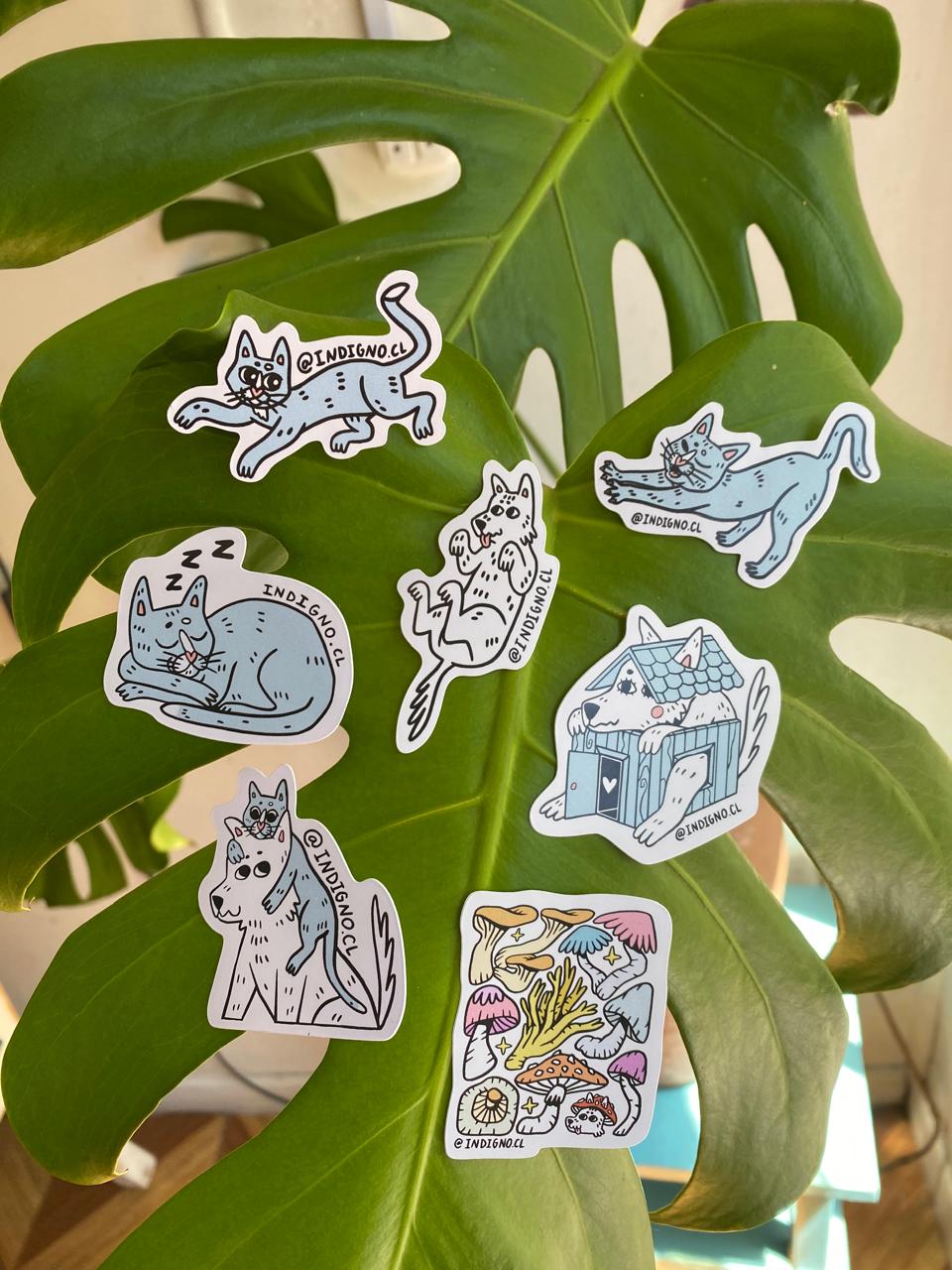 Stickers - Impermeables 🌱