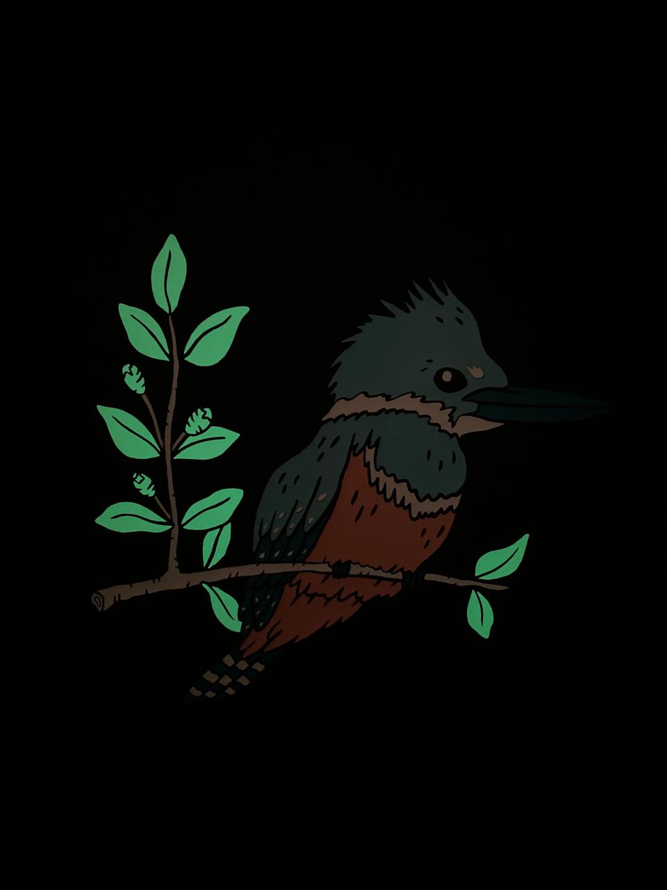 Polera - Martín Pescador 🐟