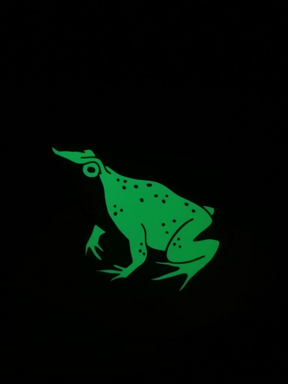 Polera - Ranita de Darwin 🐸